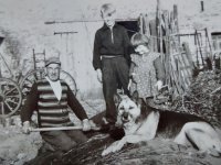 ein Bild aus dem Album